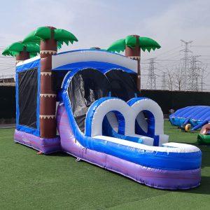 Hawaiian Paradise Slide